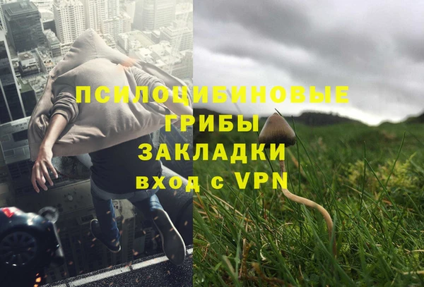 стафф Белоозёрский