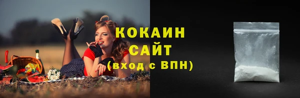 мескалин Богданович
