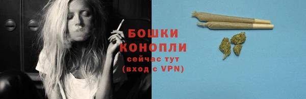 сатива Богородицк