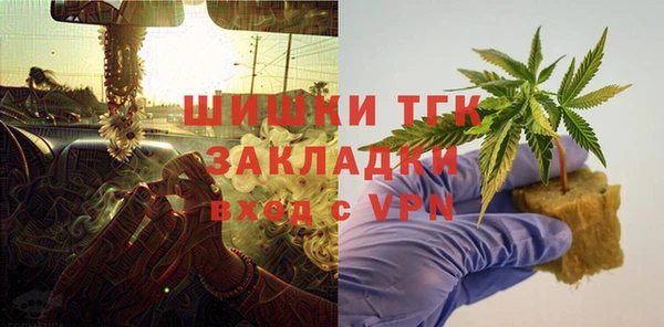 сатива Богородицк