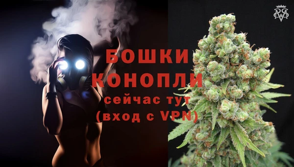 сатива Богородицк