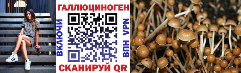 даркнет как зайти  Железногорск-Илимский  mega ONION  Псилоцибиновые грибы мухоморы  сколько стоит 